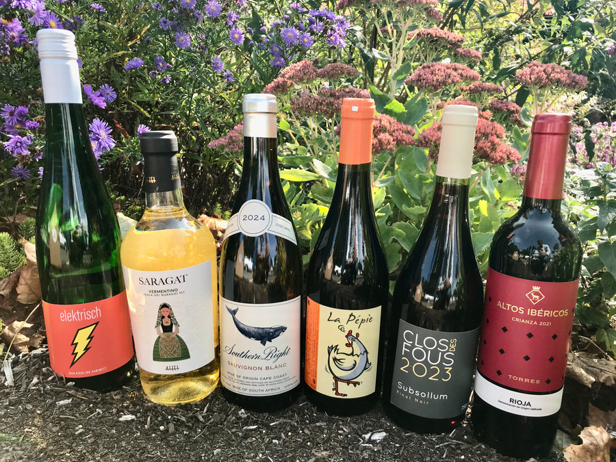 Explorers' Seasonal Value Pack: Autumn Harvest - A Cornucopia of Flavors and Tastes