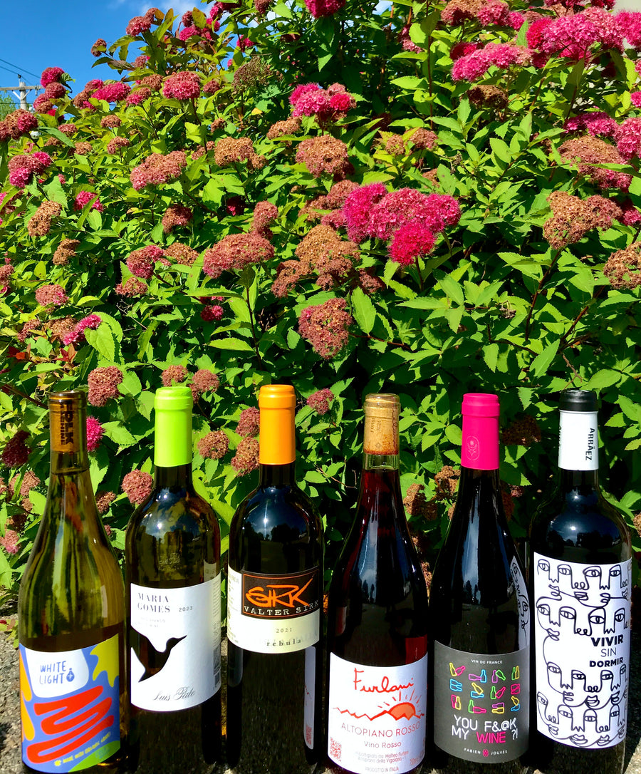 Explorers' Seasonal Value Pack: Summer - Sipping On Sunshine